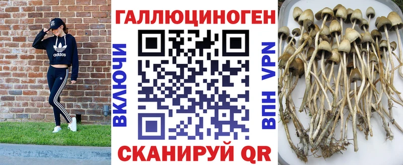 как найти наркотики  Правдинск  Псилоцибиновые грибы GOLDEN TEACHER 