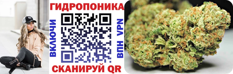 купить   Правдинск  Марихуана семена 